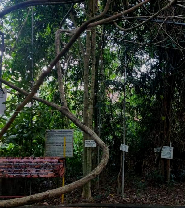 Role in ecological conservation