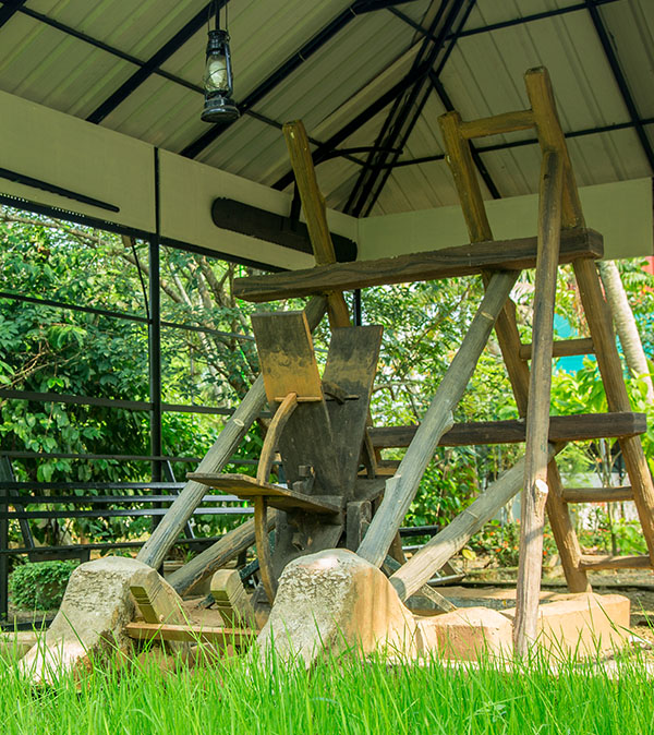 themepark-3
